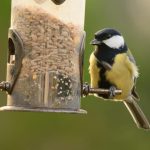 Distribuidora de ração no atacado com linha completa para aves