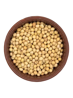 Soja em grãos