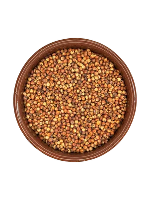 Sorgo vermelho