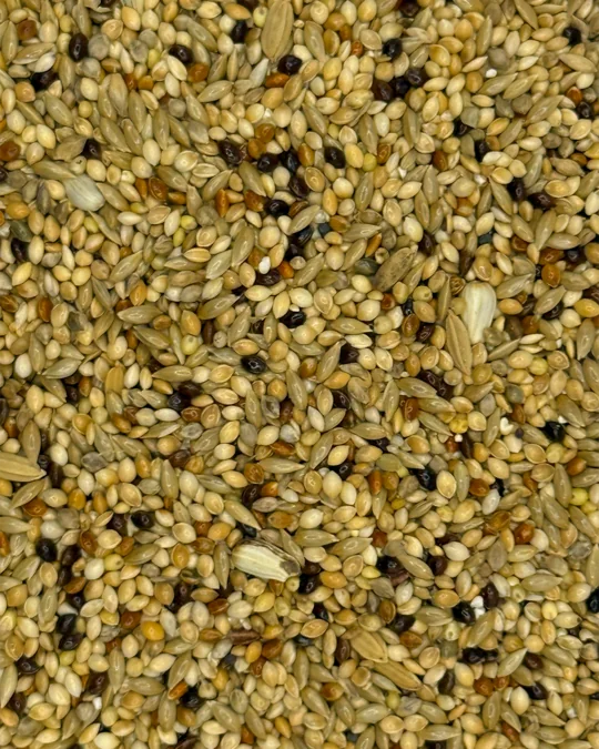 Azulão Super Premium