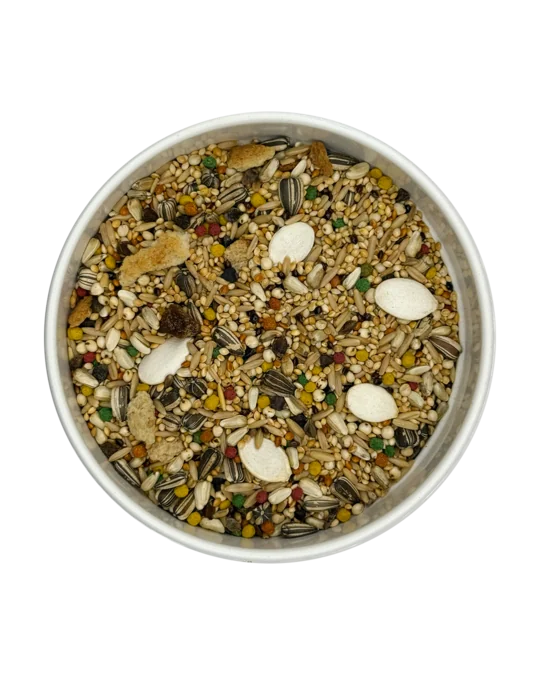 Calopsita Premium Especial Abóbora e Frutas