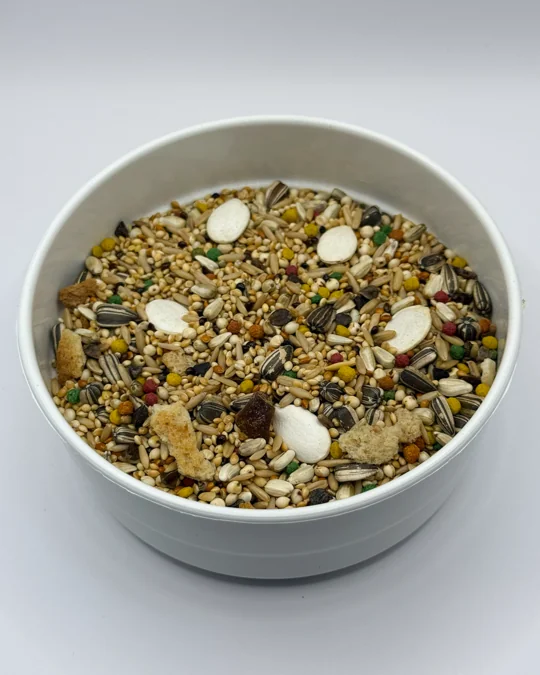 Calopsita Premium Especial Abóbora e Frutas