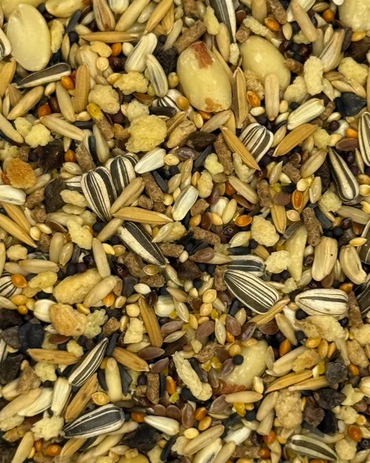 Cardeal e Galo de Campina