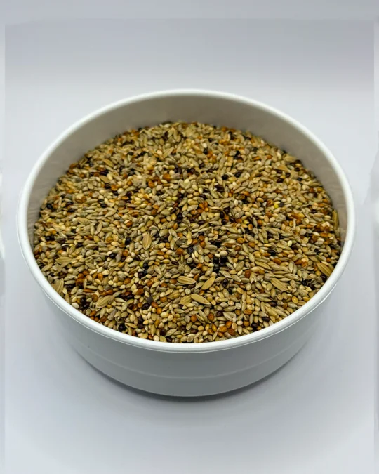 Curió Super Premium Mel