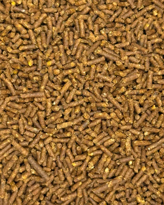 Granulado Banana Oleosa