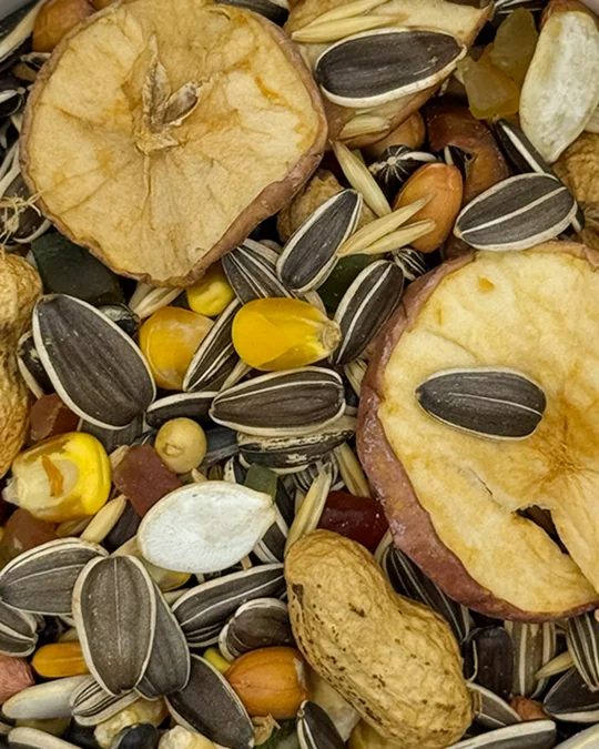 Papagaio Super Premium Maçã e Abóbora