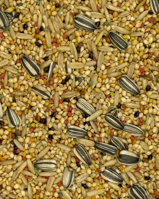 Periquito Premium Tutty Frutty