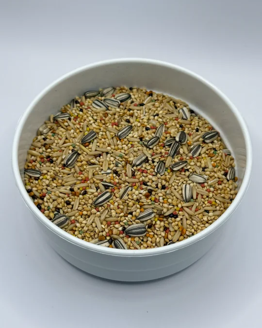 Periquito Premium Tutty Frutty