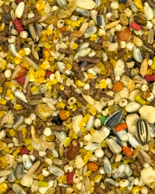 Pixarro / Trinca-Ferro Torneio Frutas