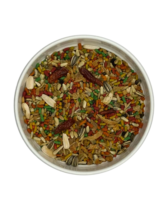 Pixarro / Trinca-Ferro Torneio Pimenta Malagueta