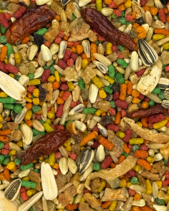 Pixarro / Trinca-Ferro Torneio Pimenta Malagueta