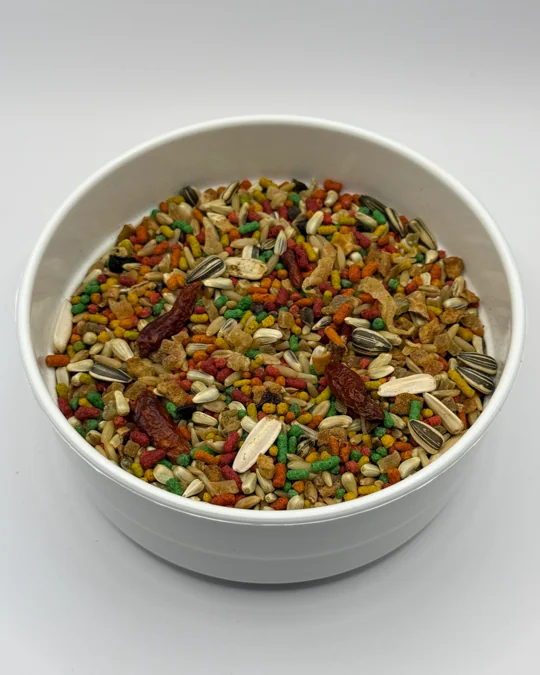 Pixarro / Trinca-Ferro Torneio Pimenta Malagueta