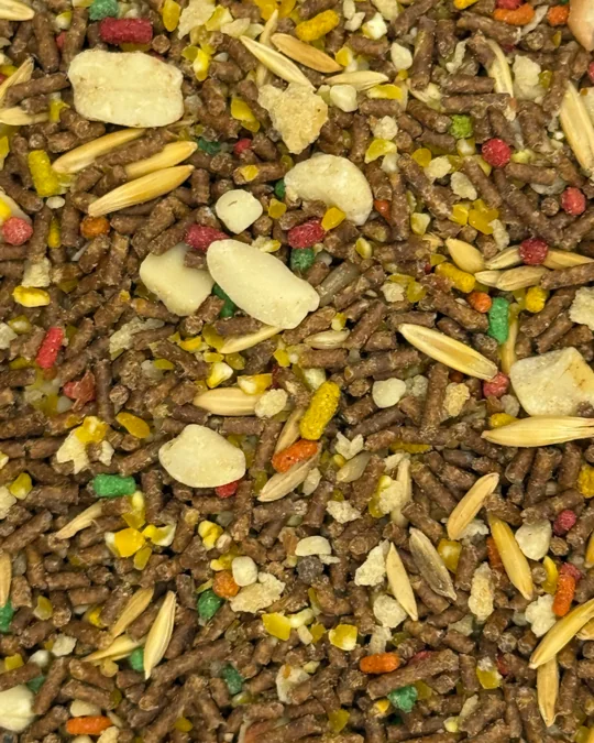 Vita Triturada Seca Banana